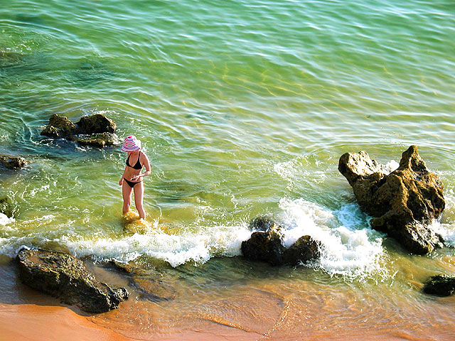 looking for shells