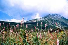 Tatry