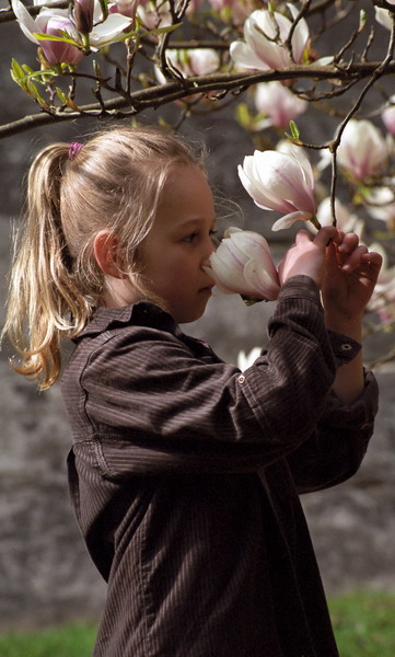 Magnolia Girl