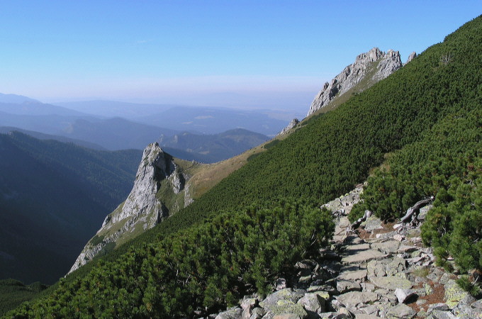 w drodze do krzyża