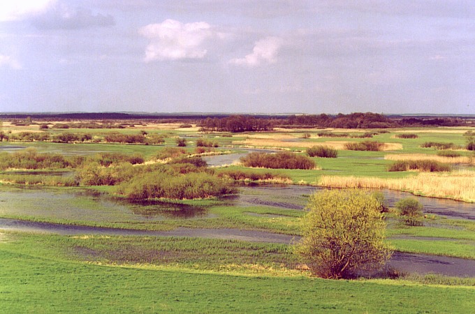 Bagno Ławki 2