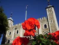 Tower of London