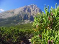 Tatry...