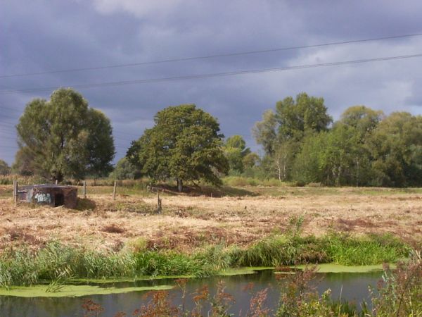 Nad Widawą