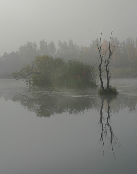 sobota ... 9:05 ... jesien