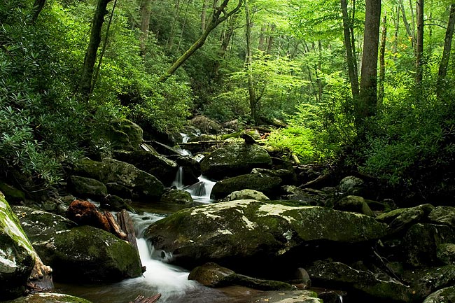 Smoky Mountains