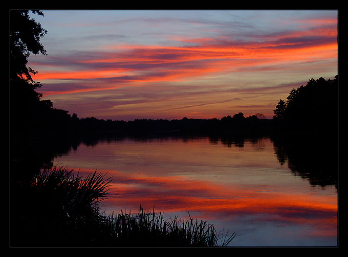 Narew