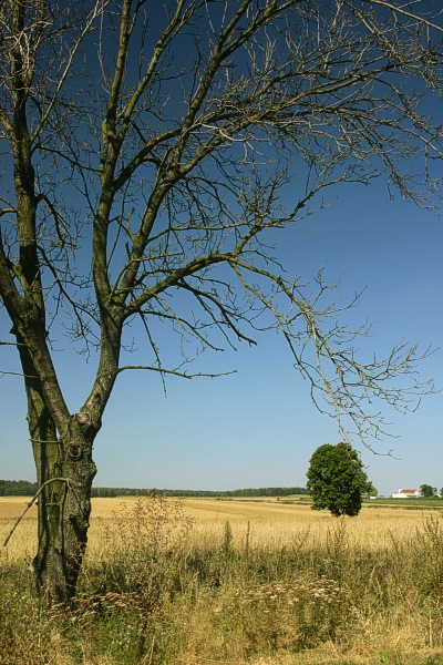 letnie klimaty...