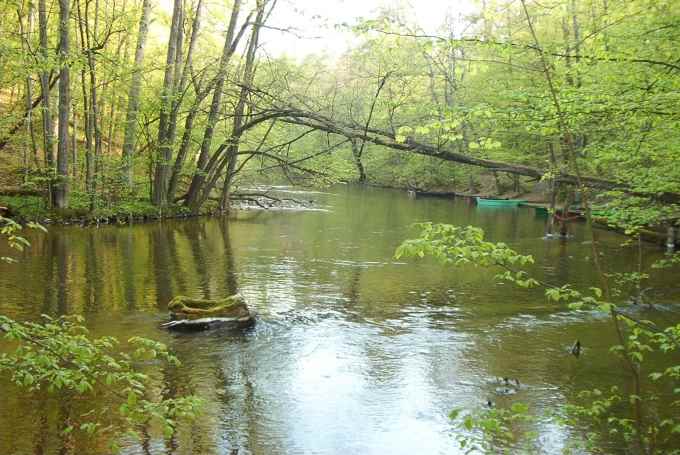 mazury