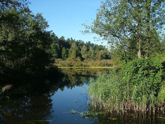 Płynąc...