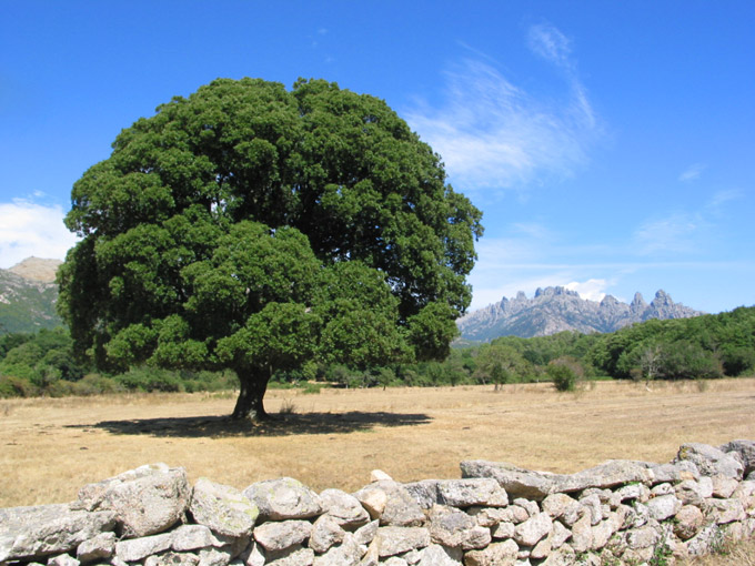 Nature and its beauty