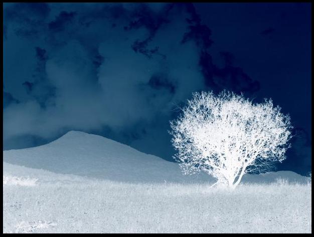 Bieszczady