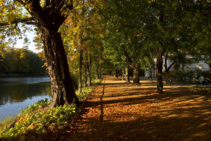 Zwykły jesienny park