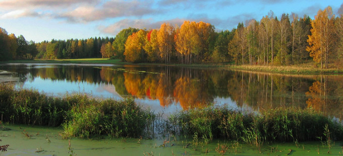 Jezioro nad bagnem