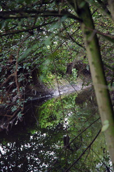 Parc du Heron