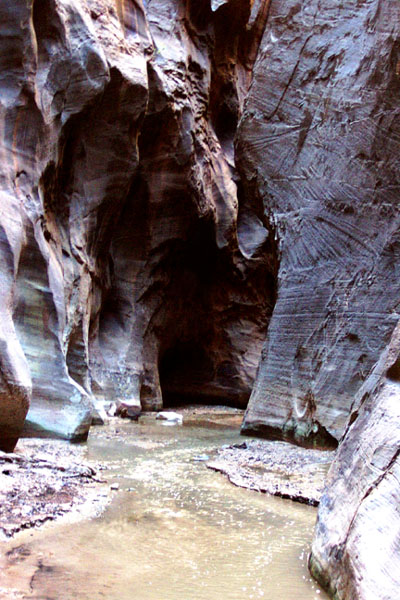 Narrows of Virgin River