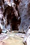 Narrows of Virgin River