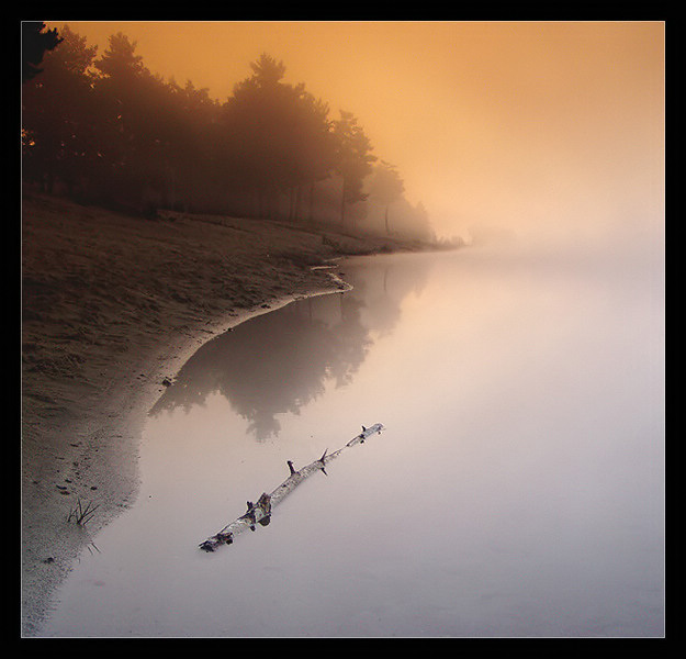 Alone in the fog