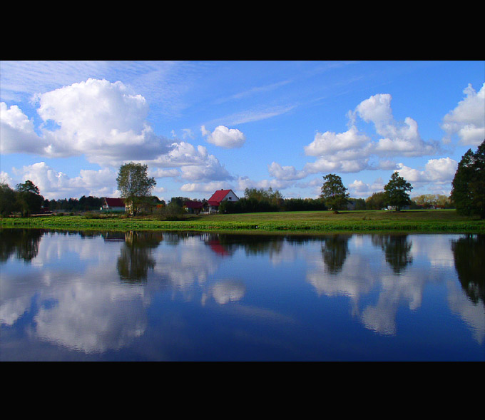 Narew