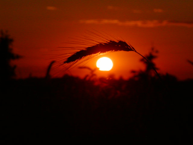 Gdzieś nad Wisłą