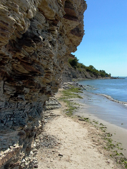 Dzika plaża