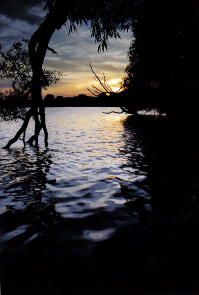  Wilcox Lake