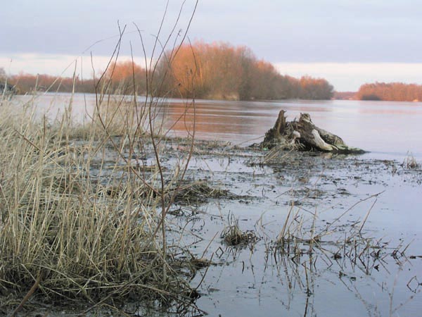 Warta -odsłona druga