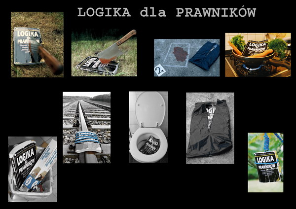 Projekt Logika