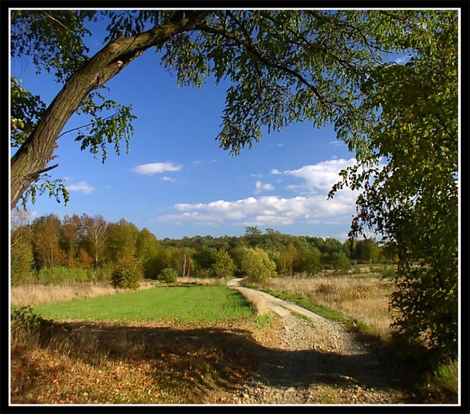 moje strony jesienią