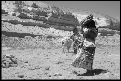 Peru-Canion Colca