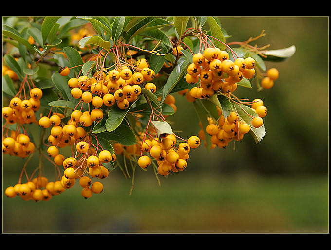 Colours of the Fall III