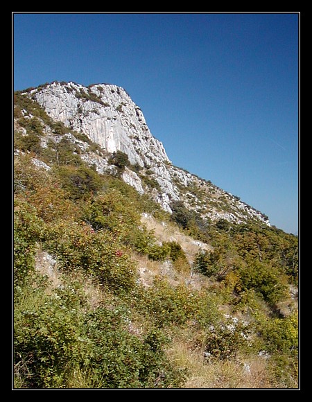 Kozjak