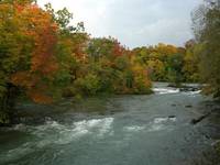 Niagara River