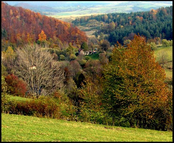 jesień w Bieszczadach