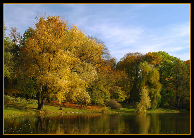 jesienny park