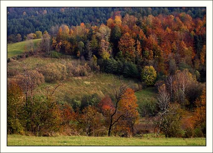 Bieszczadów uroki...