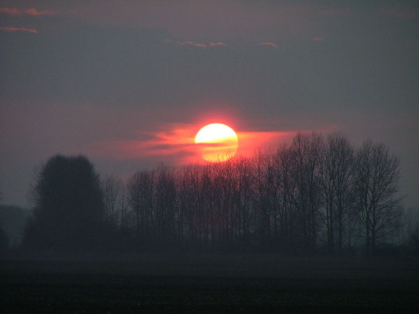 W oczekiwaniu na zimę..