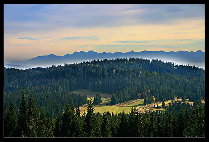 Tatry z Babiej