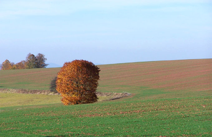 Jesień w górach