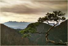 Tatry Wysokie i Bielskie