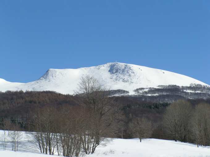 Tarnica