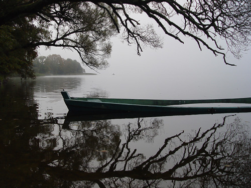 poranek nad jeziorem