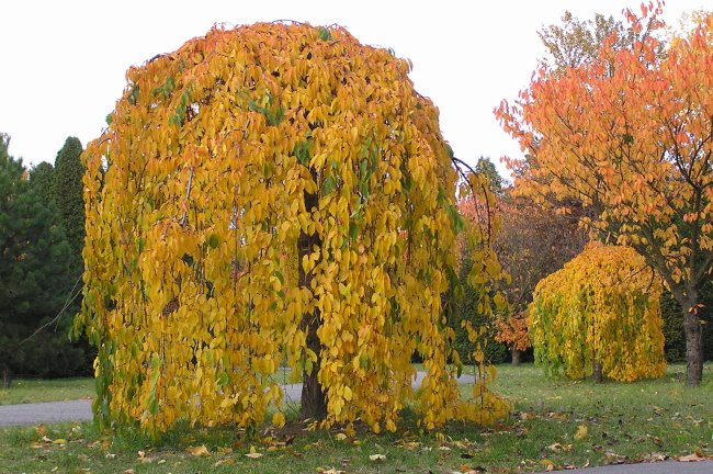 Barwy jesieni