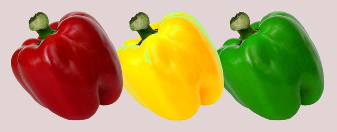 United Colors of Paprika