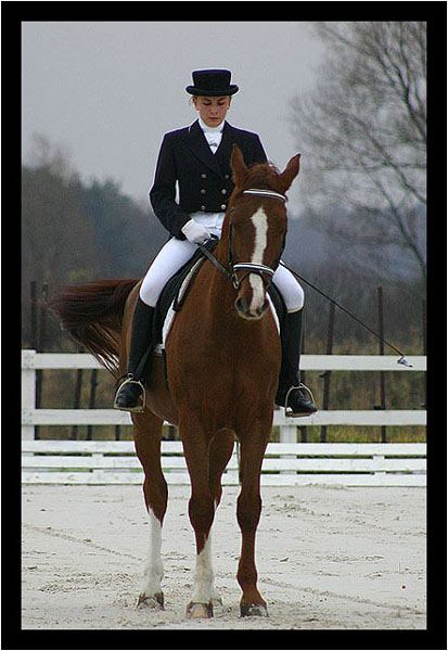 Dressage - skupienie ;)