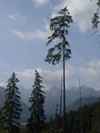 tatry