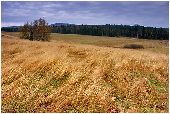 Jesień w Górach Stołowych