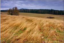 Jesień w Górach Stołowych