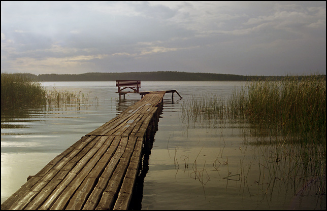 bez tytułu