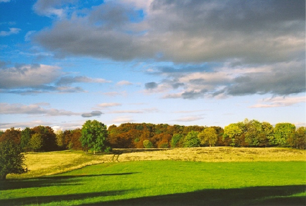 Październik